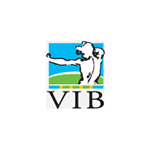 vib vib